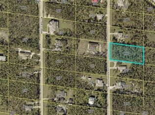 24165 Roger Dodger St, Bonita Springs, FL 34135