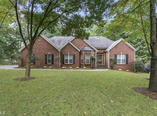 20 Hillsborough Ct, Sharpsburg, GA 30277