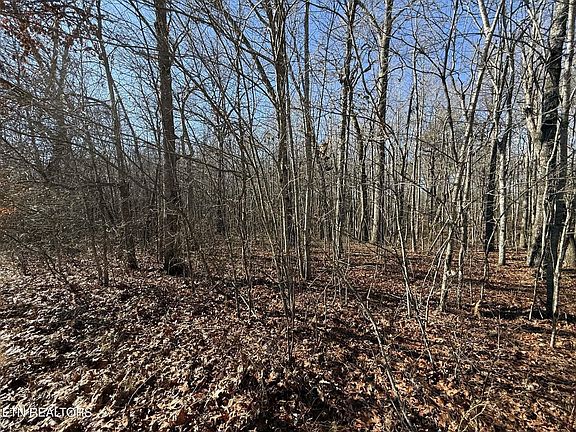 2nd image of 0 Georgee Rd Lot 14