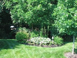 4th image of 4163 Bryson Cove Cir