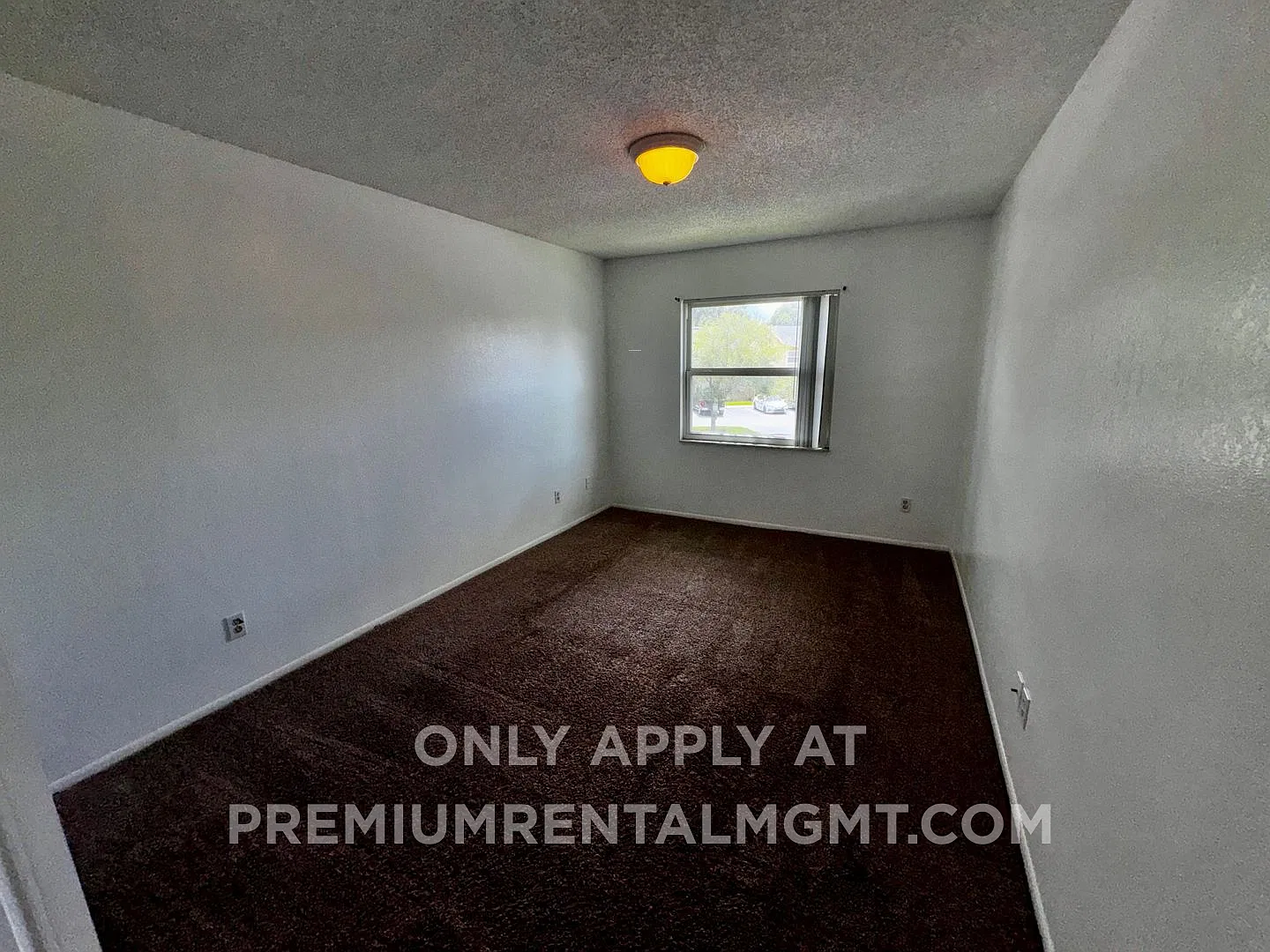 2 Bedroom 2 Bath Hawthorne Village Condo near FL Mall! — Photo 3
