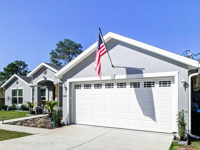 15225 Mottled Owl Rd, Weeki Wachee, FL, 34614