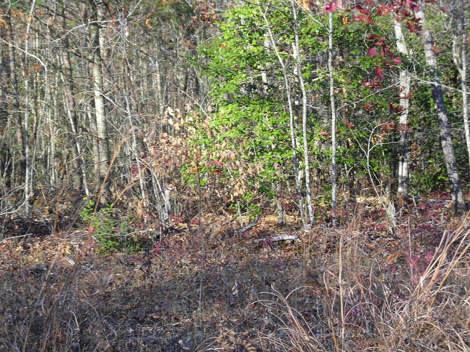 2nd image of 0 Peters Ford Rd