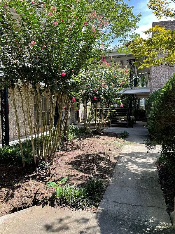 2 bed, 1.0 bath, 734 sqft, $1,650 — Photo 3