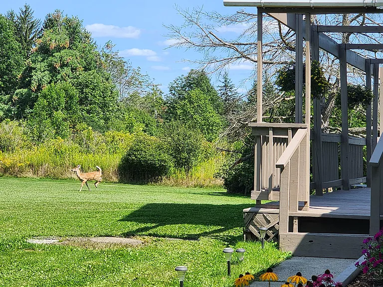 119 Etna Rd #B — Photo 27