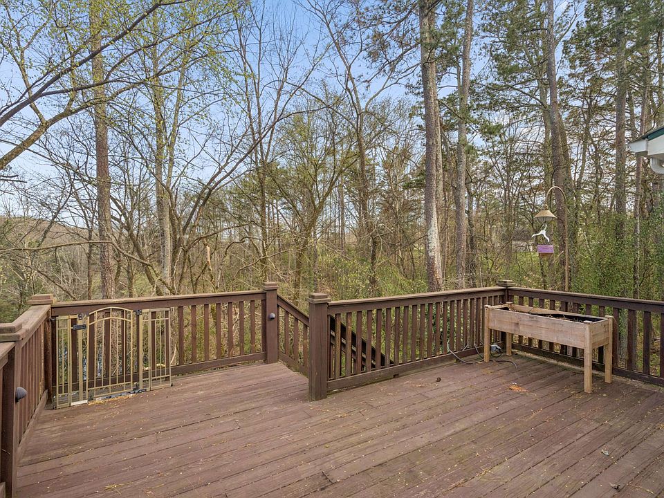 61st image of this home