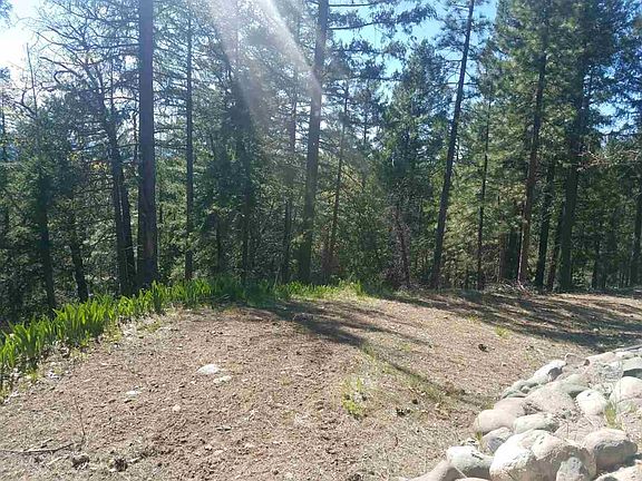 3rd image of 2645 Forest Knoll Ln