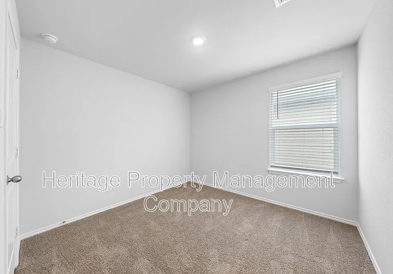 4522 Meerkat Dr — Photo 23