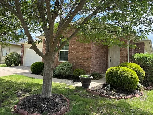 13237 Forest Sage St Photo 1