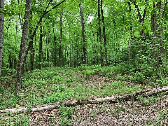 3rd image of 221 Soapstone Creek Dr