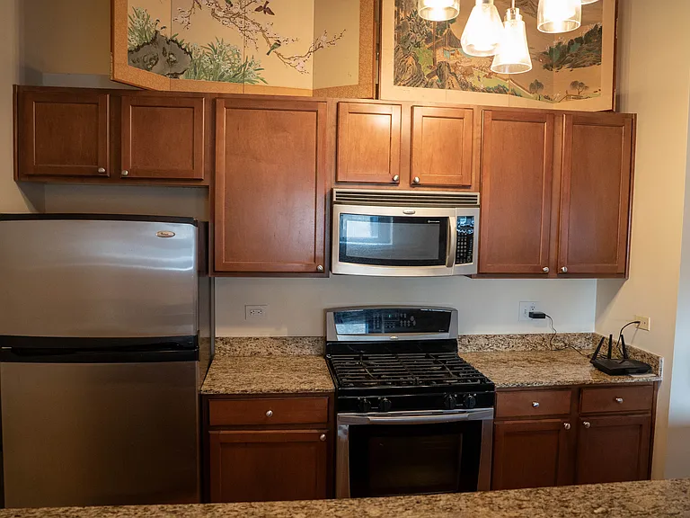 1735 N Paulina St #318 — Photo 15