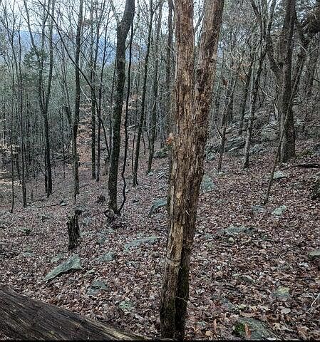 2nd image of 0 Martin Gaines Rd