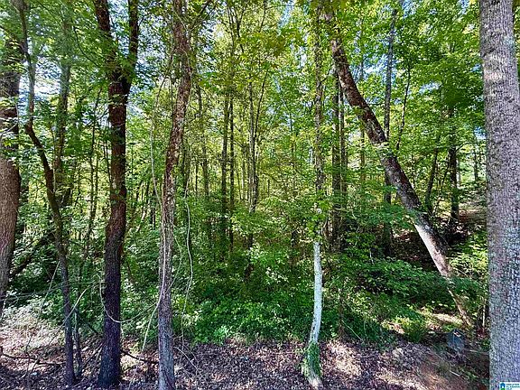 5th image of 0 Settlement Rd #0