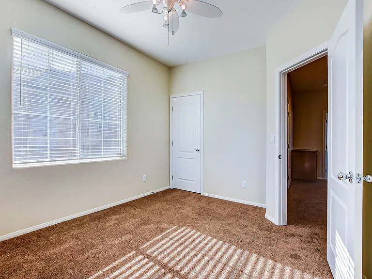 8285 Begonia Blush Dr — Photo 13