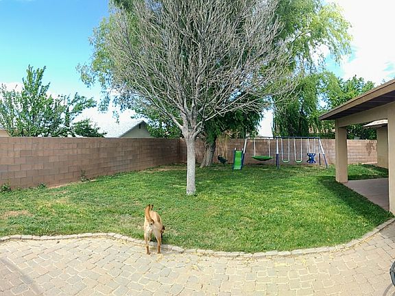 Right side back yard