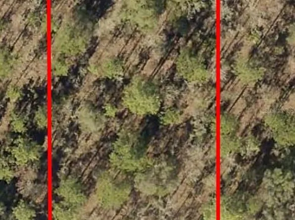 SW 89th St Lot 2, Dunnellon, FL 34432