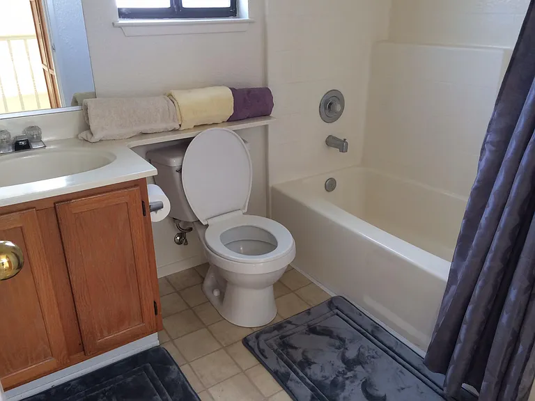 Guest Bath