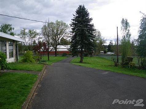IMGP0177
