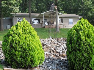 117 Hanlon Mountain Rd, Leicester, NC 28748