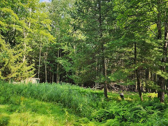 3rd image of Soule Road