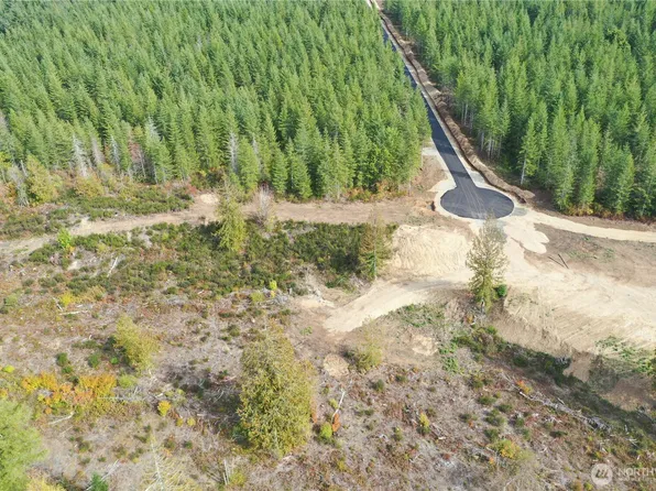 0 Lot 4 Div 2 Raven Lane, Elma, WA 98541