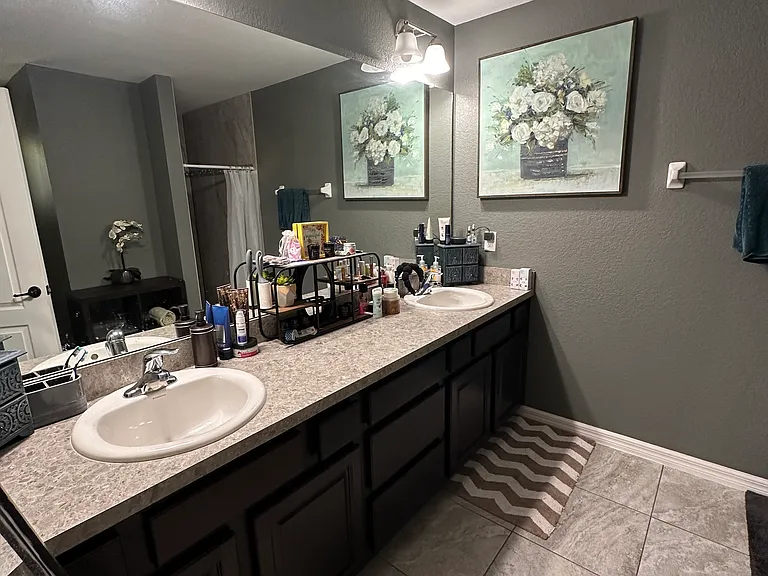 Master bath vanity, his/her sinks