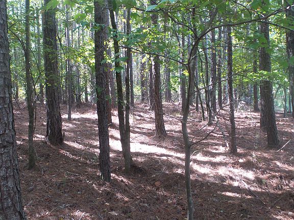 3rd image of 1193 Pine Shores Cove