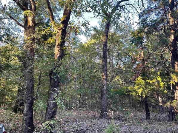 0 County Road 4710, Larue, TX 75770