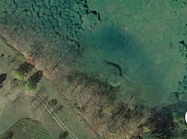 chaffee rd, Liberty, NY 12754