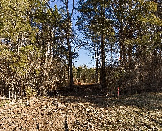 4th image of 1 Litchfield Way