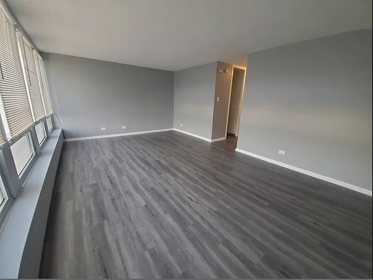 1401 E 55th St #411N — Photo 4