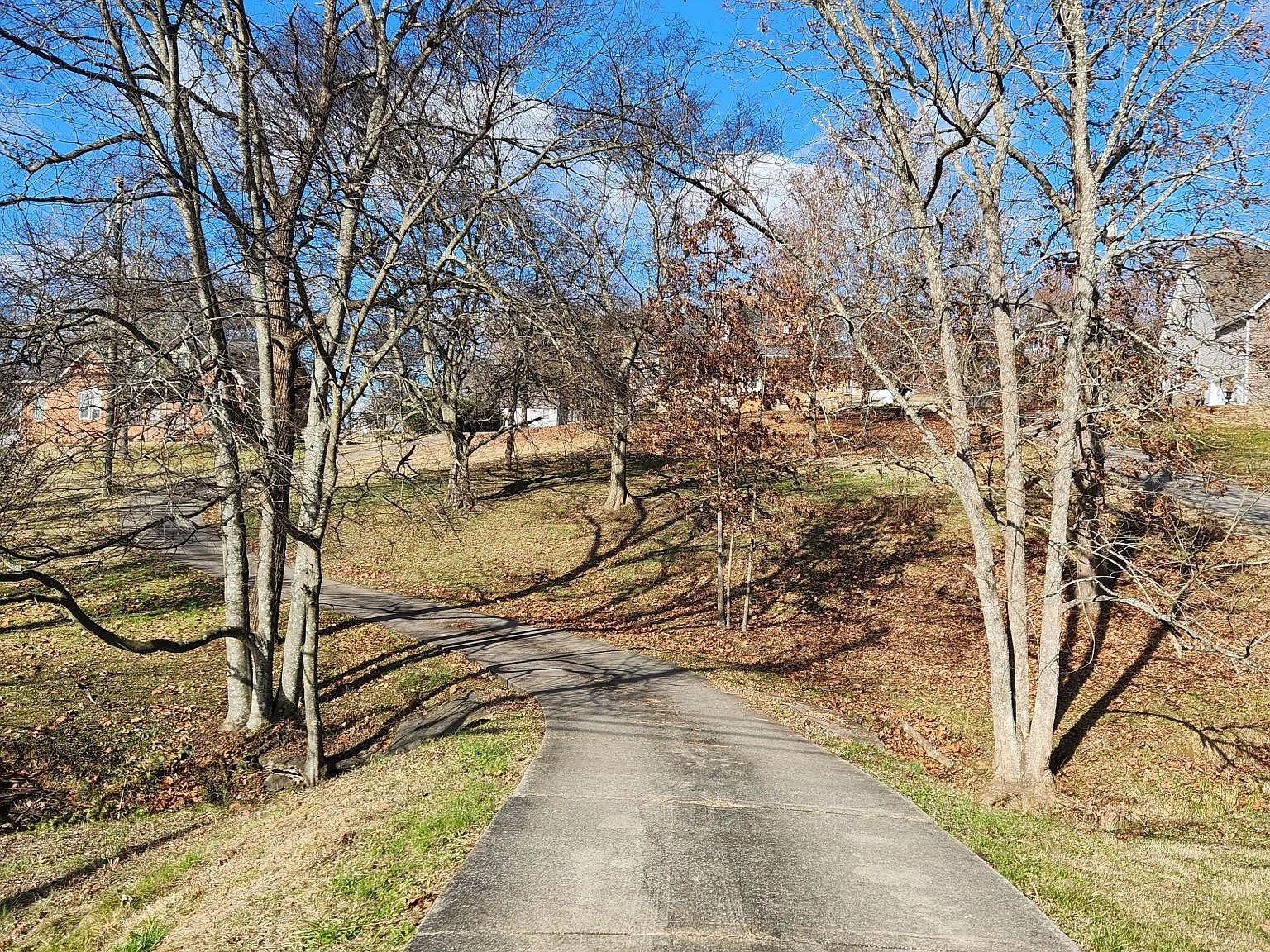 2678 Long Hollow Pike — Photo 2