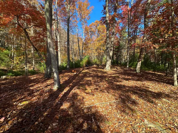 0 Moncove Lake Rd, Gap Mills, WV 24941