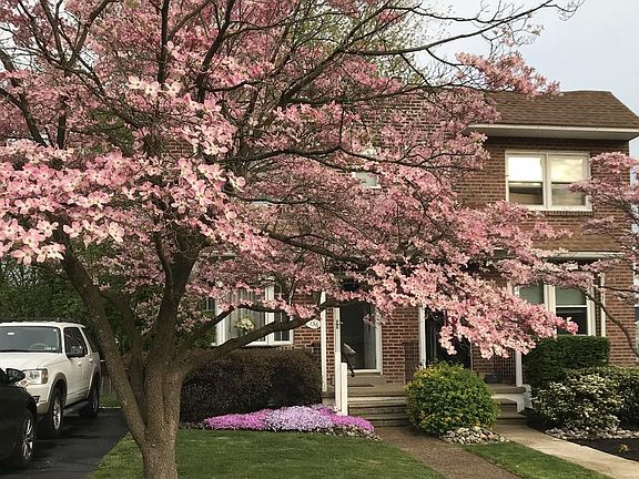 5th image of 136 Henderson Ave