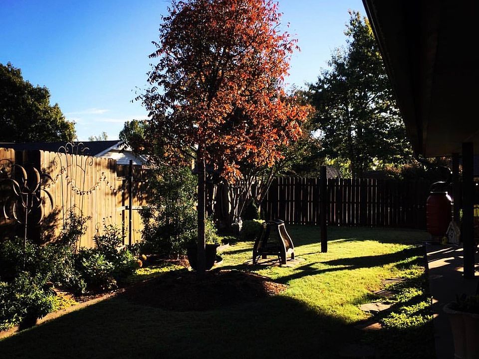 Fall colors on the Pistache