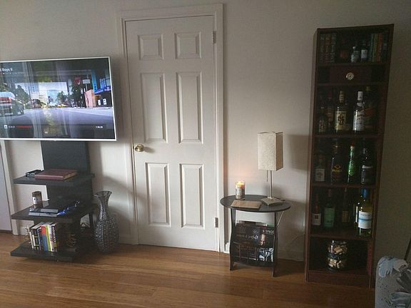 Another part of the livingroom showing a coat closet .