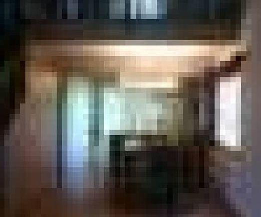 Dining-Kitchen view