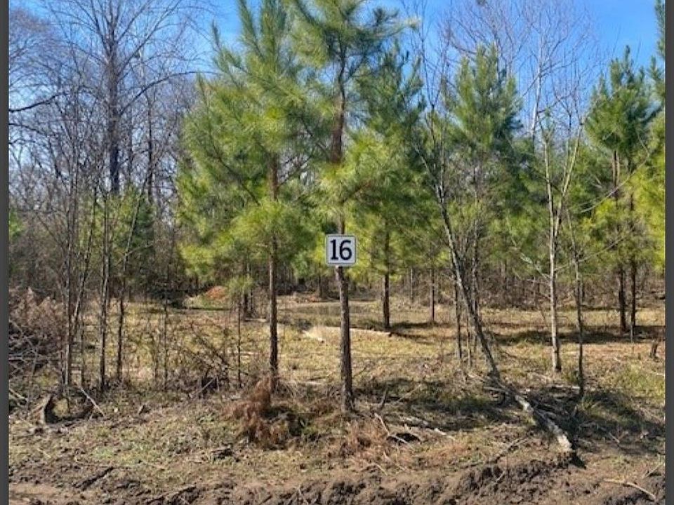 2nd image of 16 Hidden Pines Loop