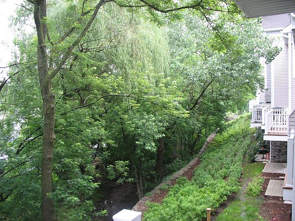 Serene Backyard