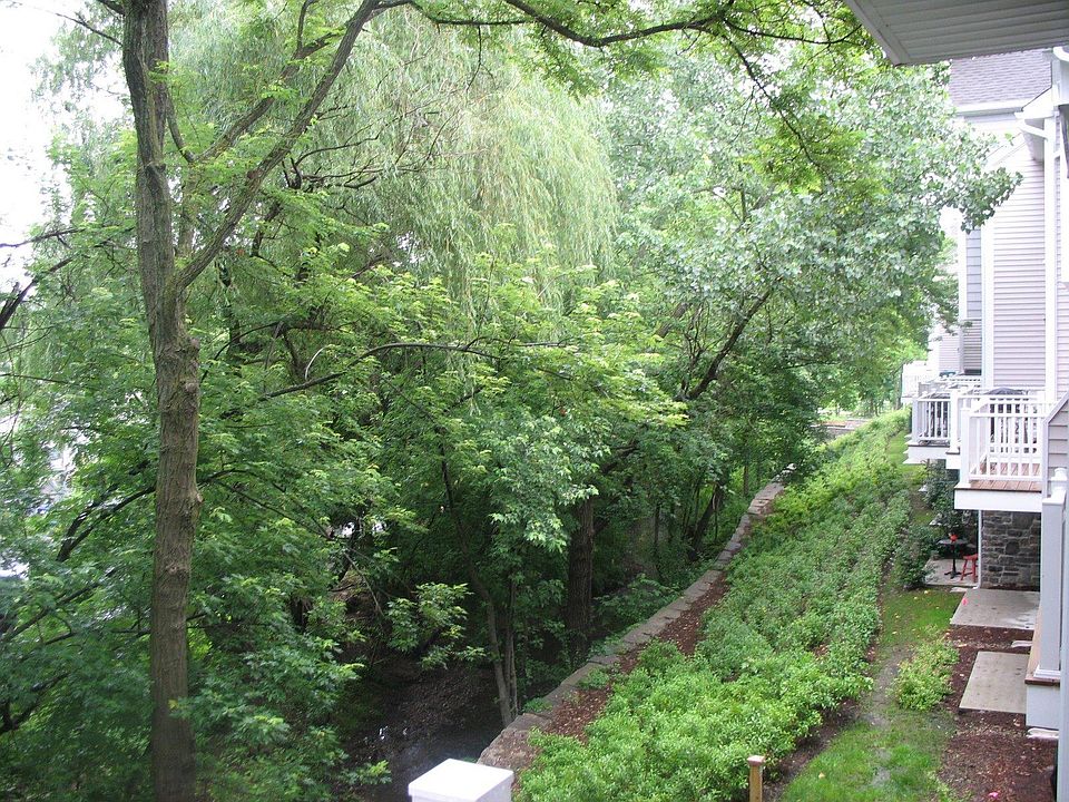 Serene Backyard