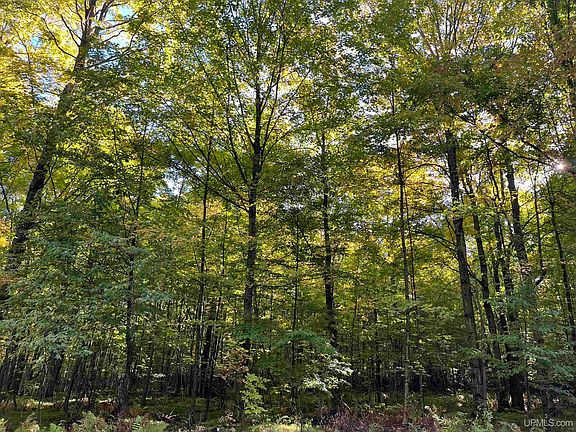 2nd image of 3 Porcupine Lake Rd