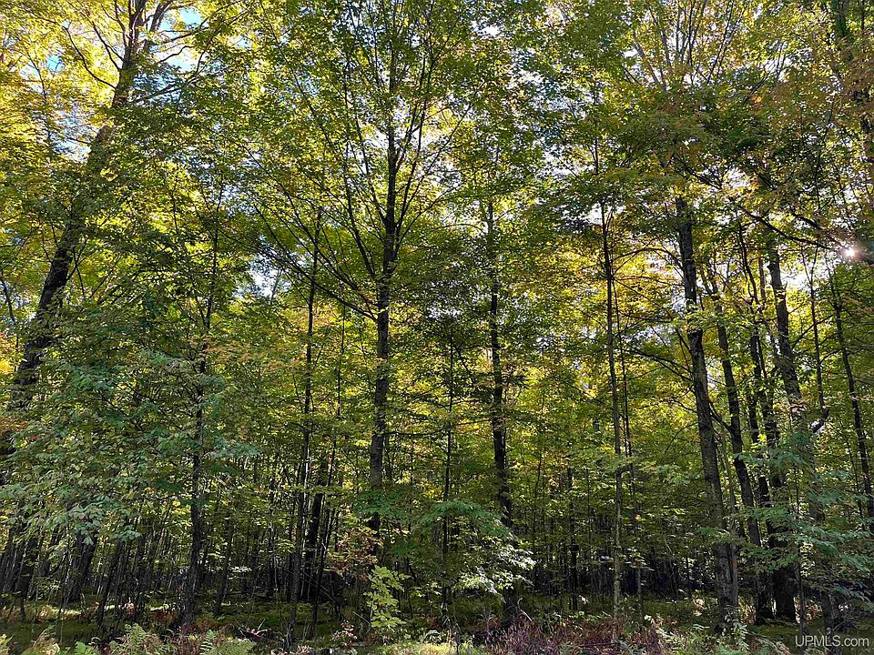 2nd image of 4 Porcupine Lake Rd