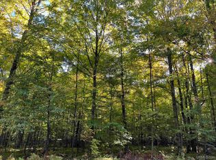 1 Porcupine Lake Rd, Long Lake, WI 54542