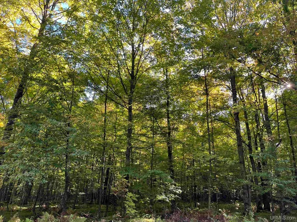 1 Porcupine Lake Rd, Long Lake, WI 54542