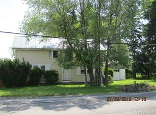 3825 Big Tree Rd, Hamburg, NY 14075