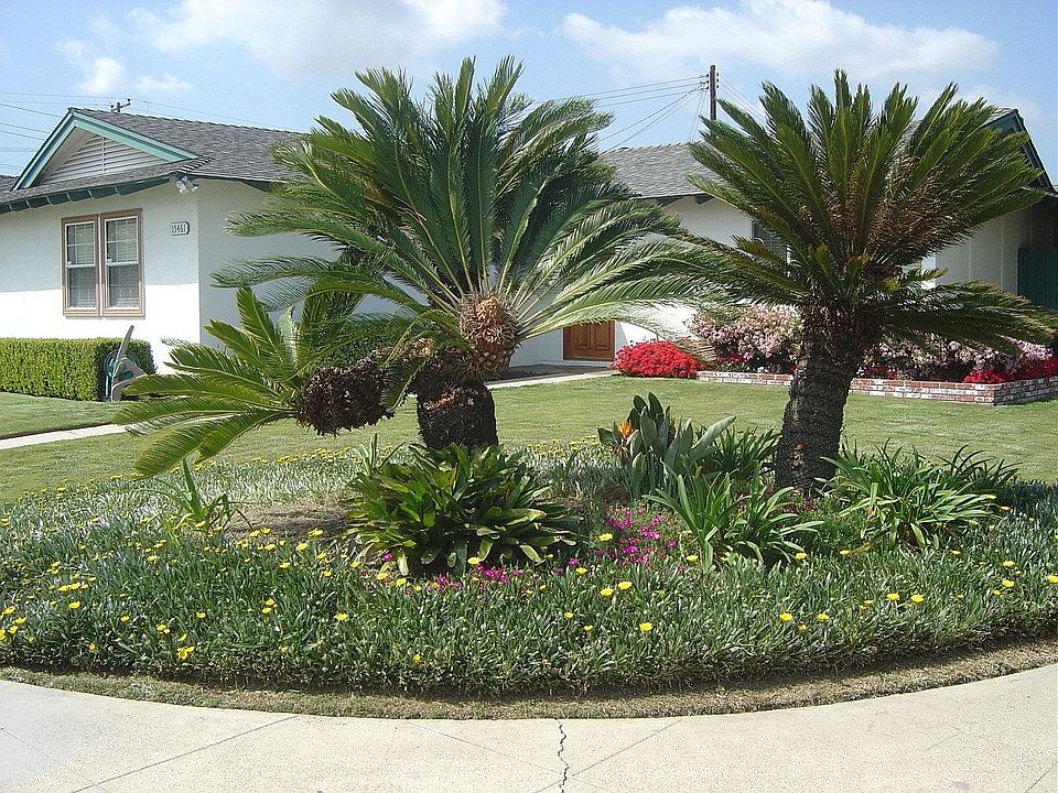 1st image of 15461 Marlborough Cir