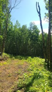 59XX Tri-Lakes Rd, Superior, WI, 54880