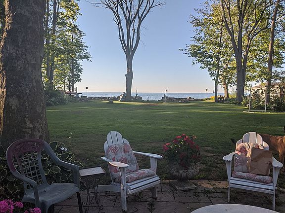 View from family room.