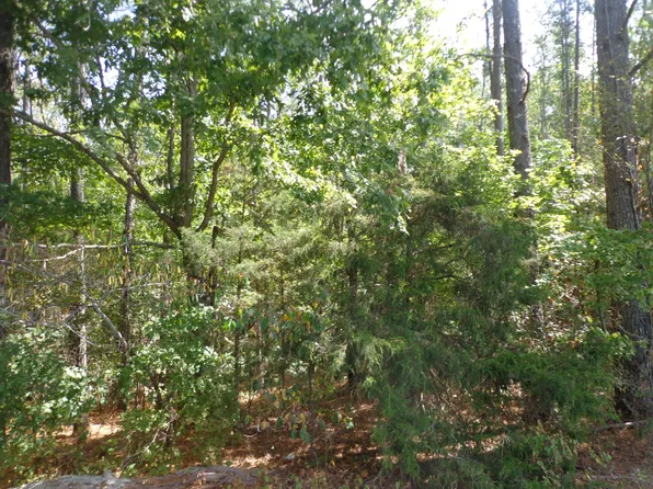 0 Tennessee Ridge Rd, Waverly, TN 37185