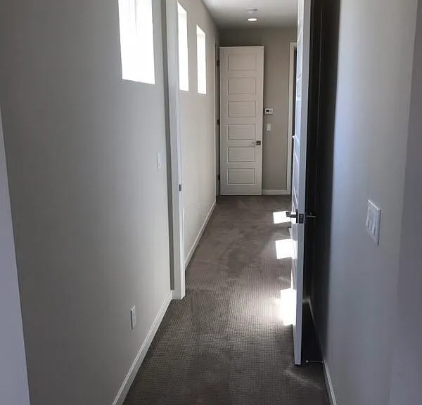 218 Terrapin — Photo 4